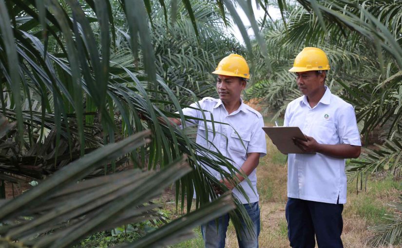 Laboratorium Digital Administrasi untuk Penyempurnaan Proses Kerja Internal